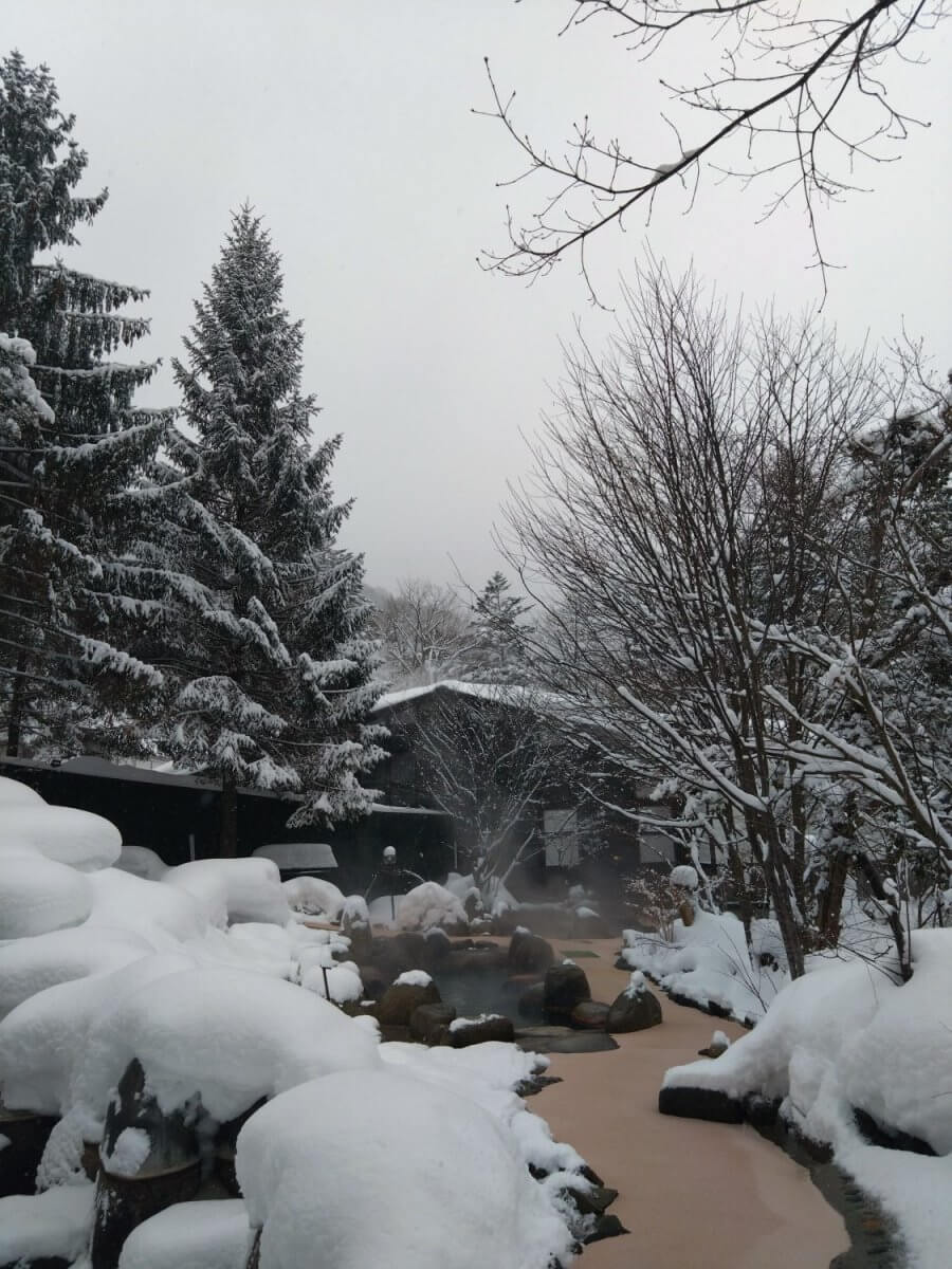 ♨ひらゆの森雪見露天風呂☃